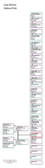 Cicely Neville, Duchess of York: Family Tree